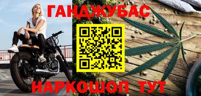 сатива Кингисепп