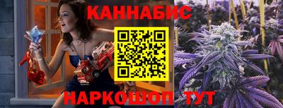сатива Кингисепп